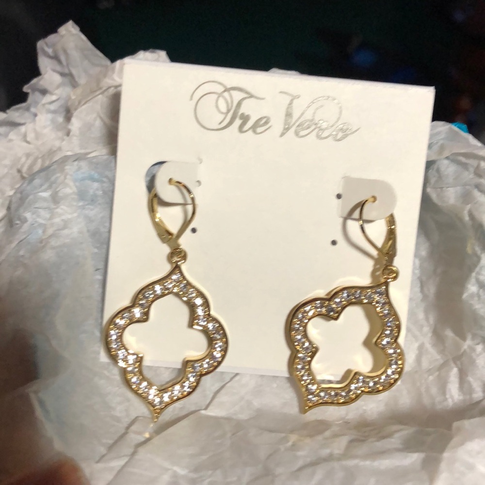 Pierced earrings